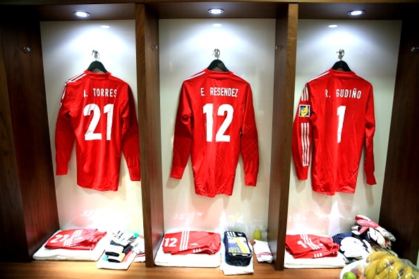 La armadura de nuestros cancerberos.