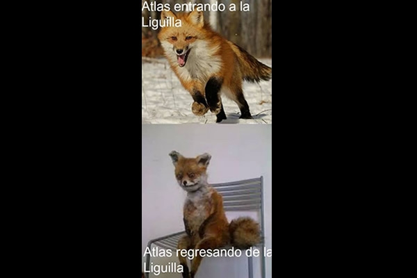 Las burlas por la eliminación atlista no se hicieron esperar.