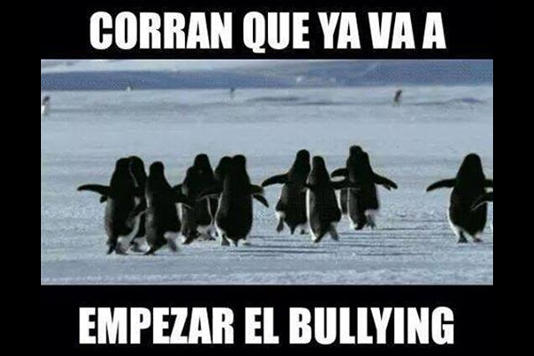 Los americanistas celebraron el pase a la Final con Memes.