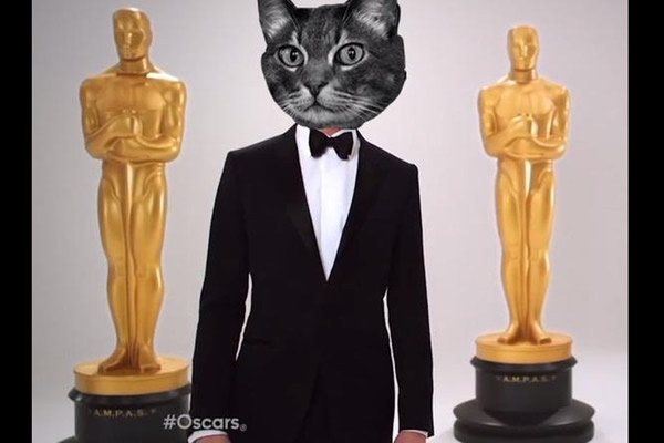 Los memes de la entrega del Oscar.
