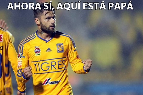 Los memes de la J12... norteños