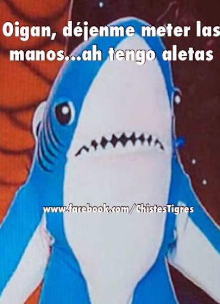 Los memes de la J12... norteños