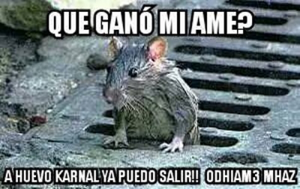Los memes de la J10.