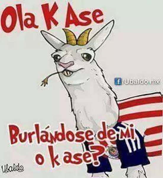 Los memes de la J1.