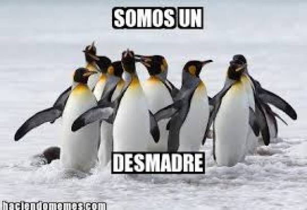 Los memes de la J15... norteños. 