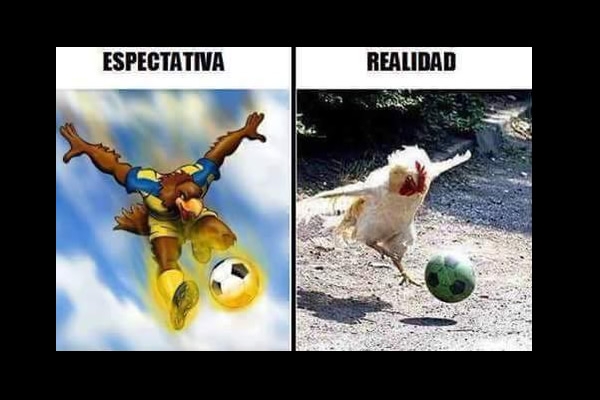 Los memes de la J14.