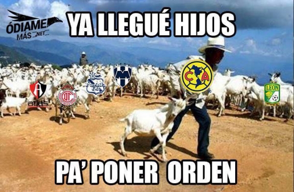 Los memes de la Jornada 15