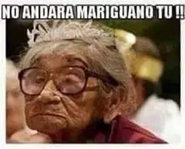 Los memes de Maradona.