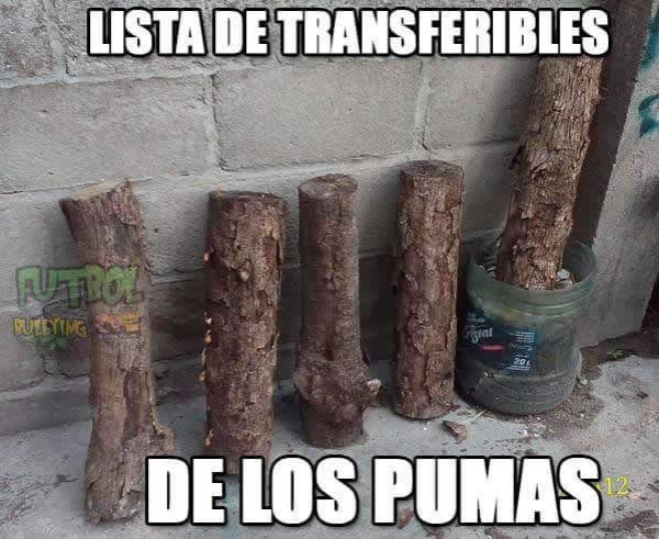 Memes del mercado de piernas 2015.