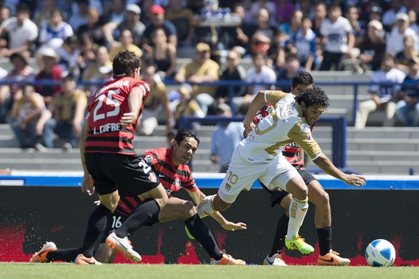 Pumas-Atlas