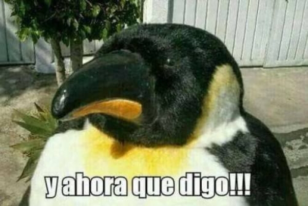 Sin Titulo
