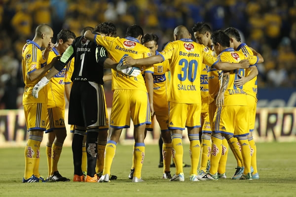 tigres