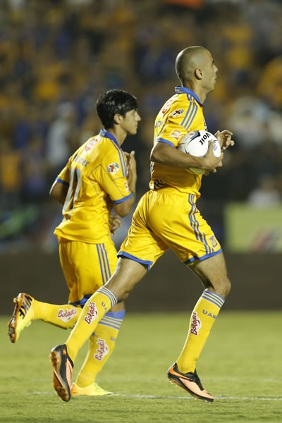 tigres