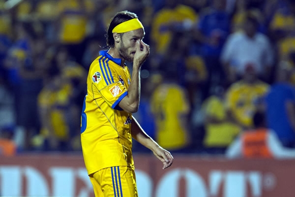 tigres