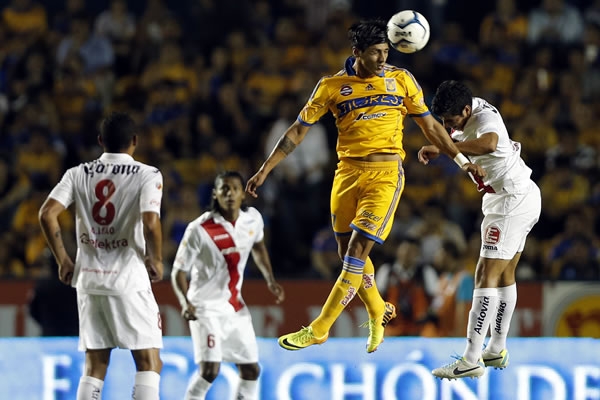 tigres