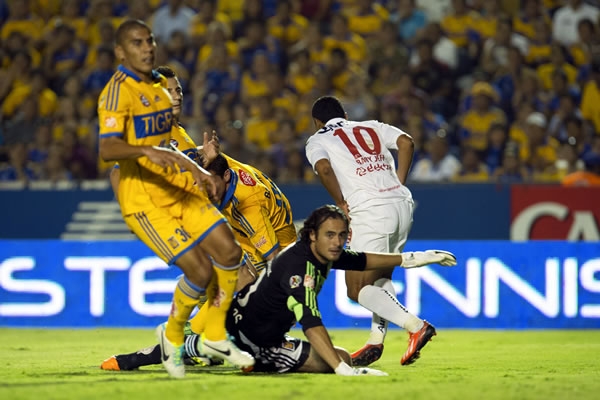 tigres