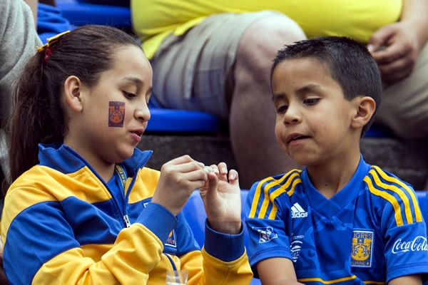 Tigres, el amor por los colores que colorean el alma.