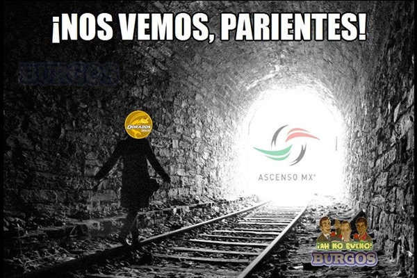 Se acabó la fase regular del Clausura y los memes dicen presente.