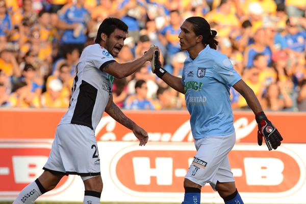 Buen desempeño de los Gallos.