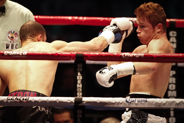 Canelo Cintrón 2