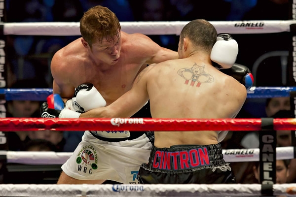 Canelo Cintrón 11