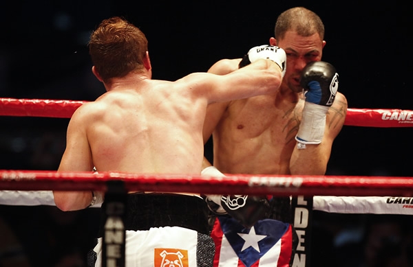 Canelo Cintrón 13