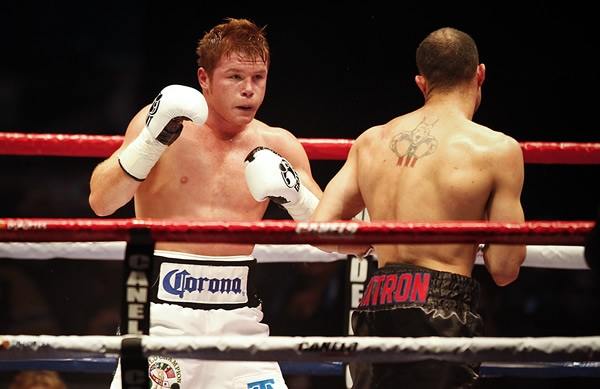 Canelo Cintrón 3