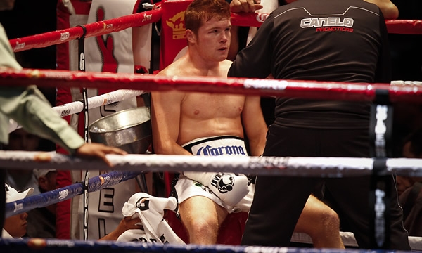 Canelo Cintrón 4