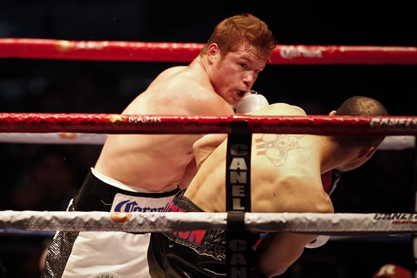Canelo Cintrón 8