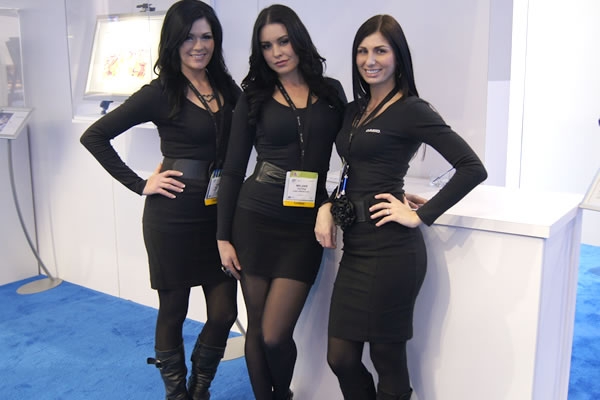 ces 13