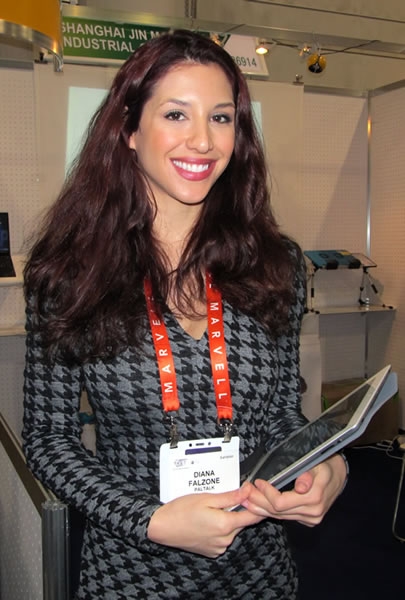 ces 6