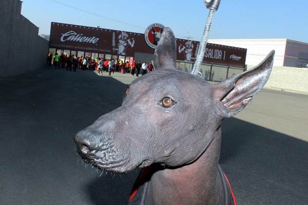 El amuleto del Infierno de Tijuana.