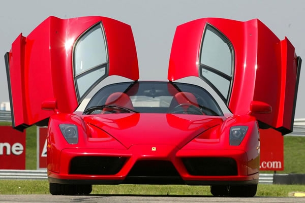 Enzo 1