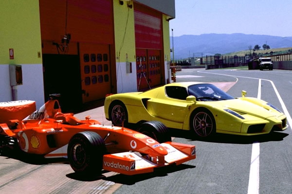 Enzo 4