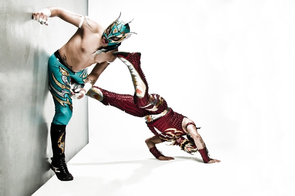 Fénix y Dark Dragon