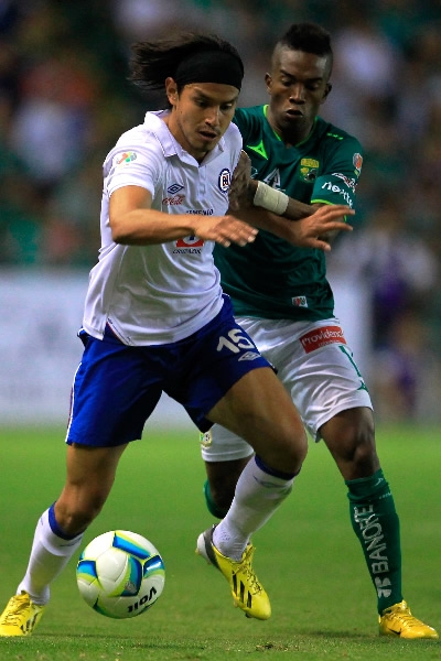 Flores.