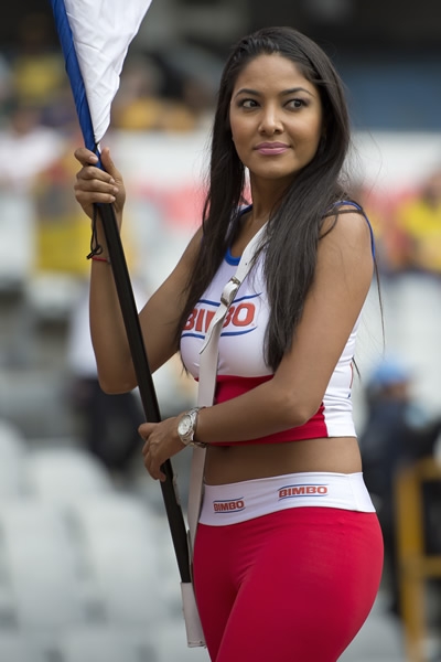 Galería América-Tigres