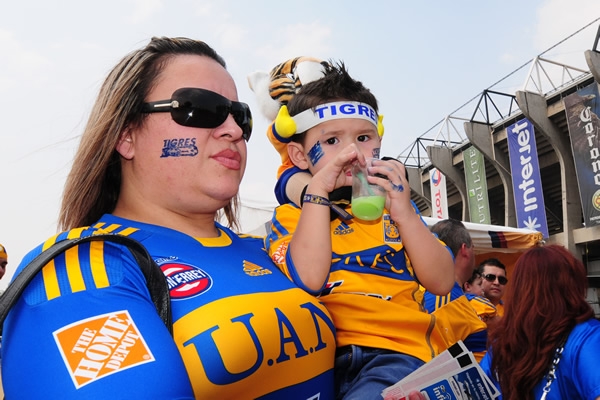 Galería América-Tigres