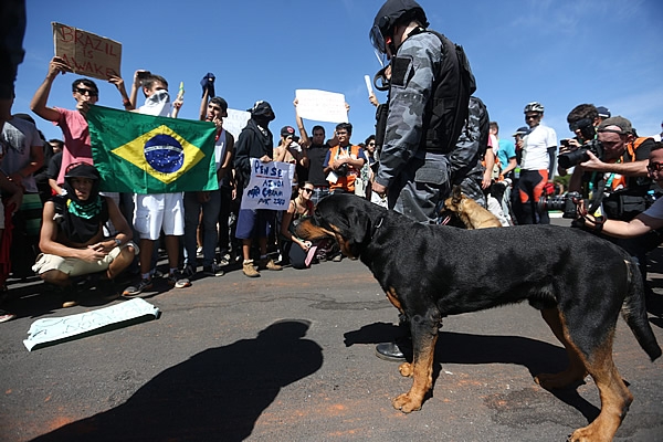 Galería Brasil-Japón