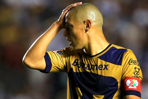 Gallos-Pumas