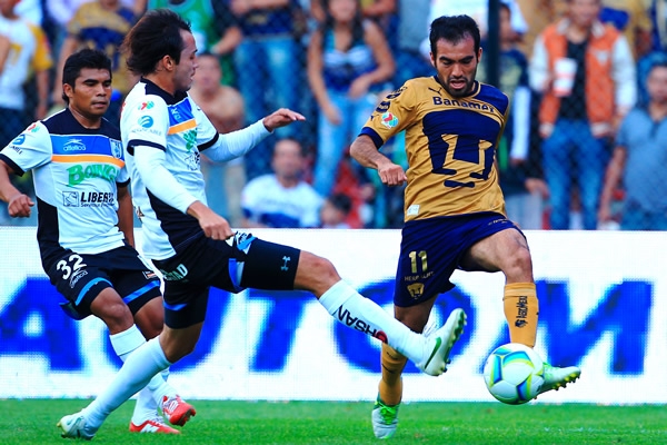 Gallos-Pumas
