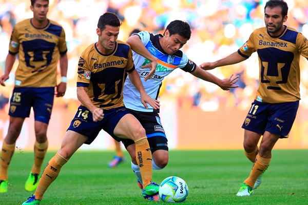 Gallos-Pumas
