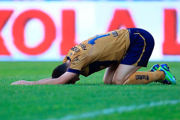 Gallos-Pumas