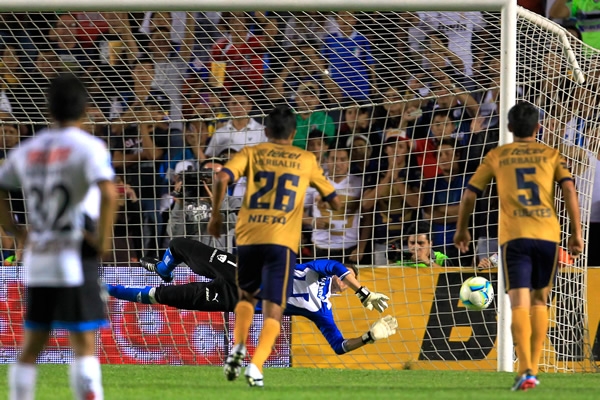 Gallos-Pumas