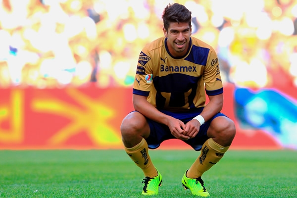 Gallos-Pumas