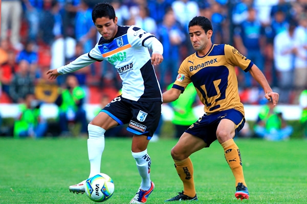 Gallos-Pumas