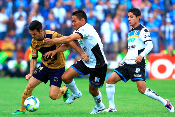Gallos-Pumas