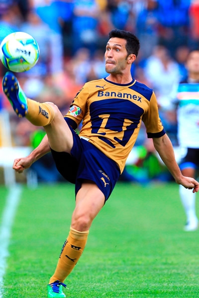 Gallos-Pumas