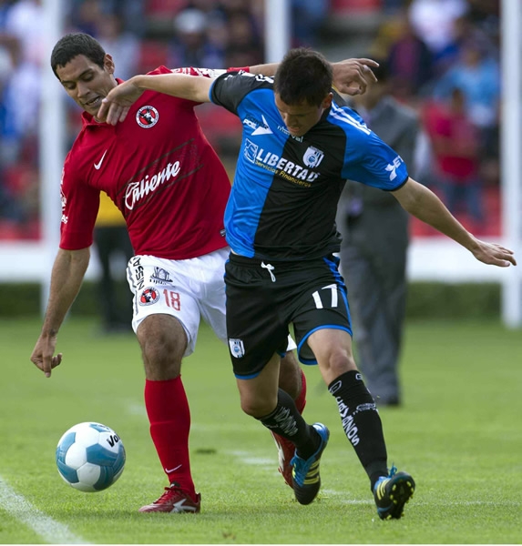 Gallos-Xolos