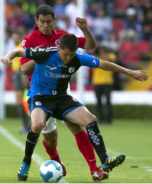 Gallos-Xolos